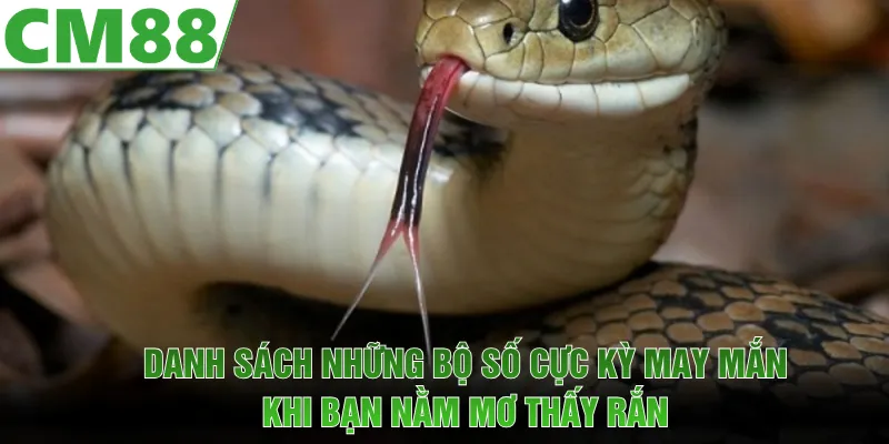Danh sách những bộ số cực kỳ may mắn khi bạn nằm mơ thấy rắn
