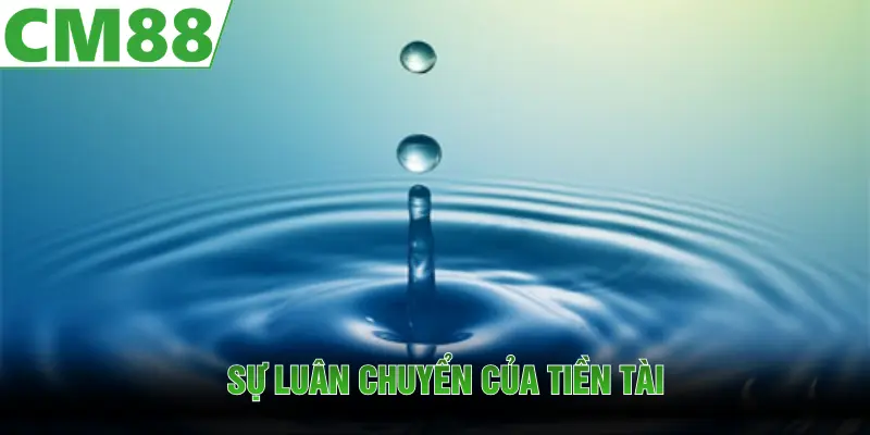 Nước tràn vào nhà trong mơ cho biết sự luân chuyển của tiền tài